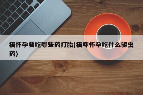 打胎药微信联系方式，猫怀孕要吃哪些药打胎(猫咪怀孕吃什么驱虫药)
