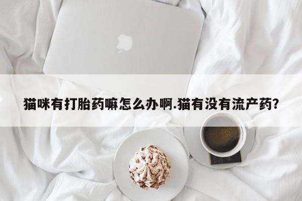 打胎药微信联系方式，猫咪有打胎药嘛怎么办啊.猫有没有流产药？
